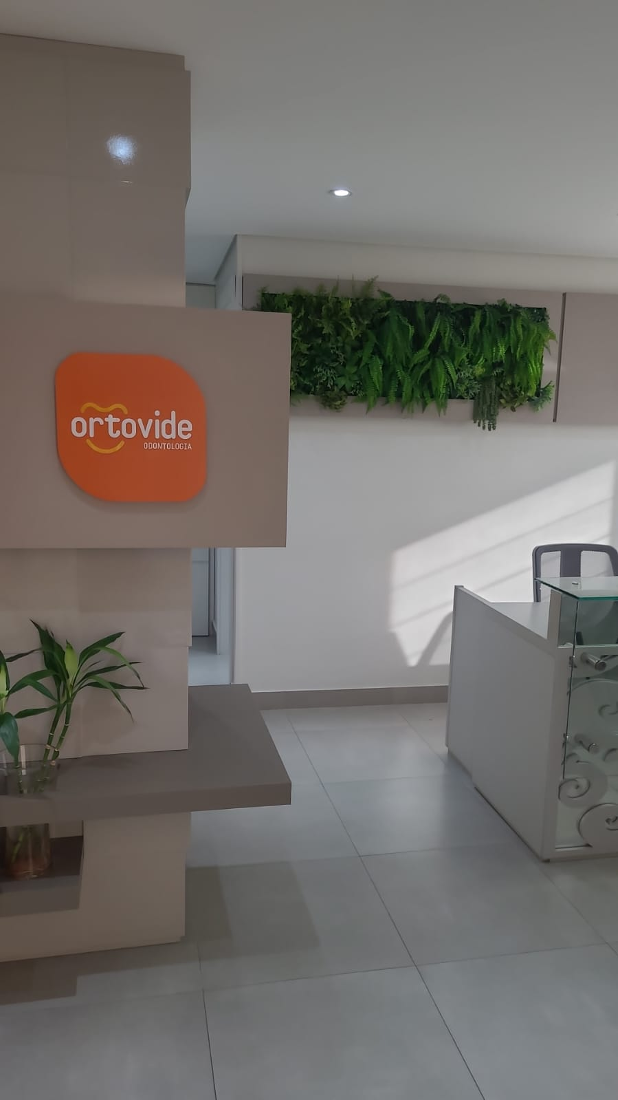 Recepção da Clínica Ortovide com logo